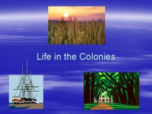 Life in the Colonies New England Colonies Massachusetts