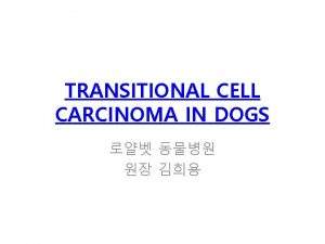 TRANSITIONAL CELL CARCINOMA IN DOGS Transitional cell carcinoma