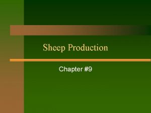 Sheep Production Chapter 9 Why choose sheep Sheep
