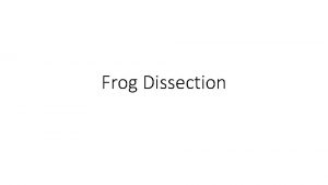 Frog Dissection External Dissection Examine the outside of