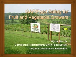GAPFood Safety for Fruit and Vegetable Growers Wythe