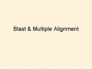 Blast Multiple Alignment Scoring Alignments Quality 10match 1mismatch