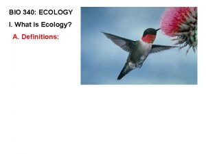 BIO 340 ECOLOGY I What is Ecology A