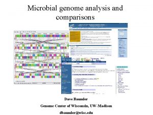 Microbial genome analysis and comparisons Dave Baumler Genome