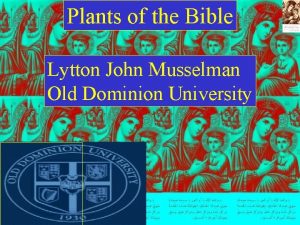 Plants of the Bible Lytton John Musselman Old