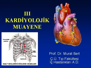 III KARDYOLOJK MUAYENE Prof Dr Murat Sert Tp