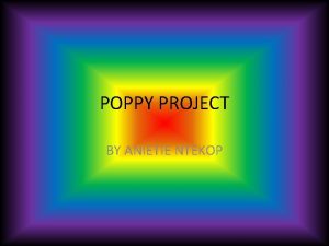 POPPY PROJECT BY ANIETIE NTEKOP Plot line poppy