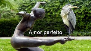 Amor perfeito No existe amor perfeito se o