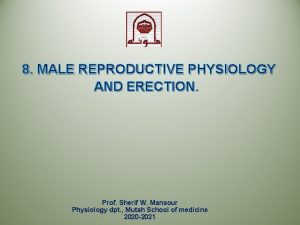 8 MALE REPRODUCTIVE PHYSIOLOGY AND ERECTION Prof Sherif