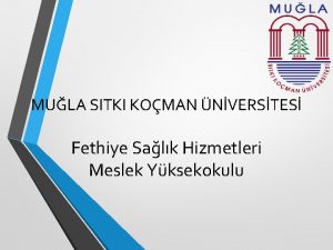 MULA SITKI KOMAN NVERSTES Fethiye Salk Hizmetleri Meslek