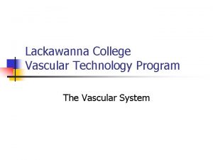 Lackawanna College Vascular Technology Program The Vascular System
