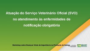 Atuao do Servio Veterinrio Oficial SVO no atendimento