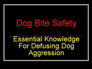 Dog Bite Safety Essential Knowledge For Defusing Dog