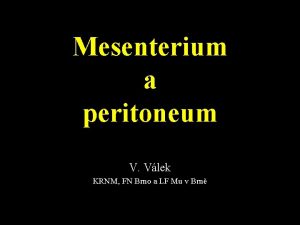 Mesenterium a peritoneum V Vlek KRNM FN Brno