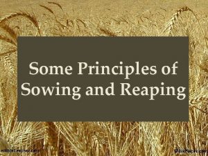 Some Principles of Sowing and Reaping Parable of