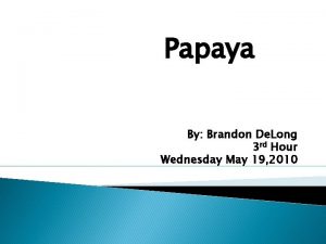 Papaya By Brandon De Long 3 rd Hour