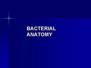 BACTERIAL ANATOMY Bacterial cellular anatomy may be categorized