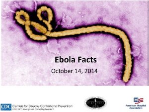 Ebola Facts October 14 2014 Symptoms of Ebola