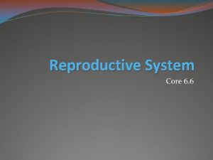 Reproductive System Core 6 6 Sexual reproduction requires