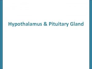 Hypothalamus Pituitary Gland Hypothalamus and Pituitary Gland The