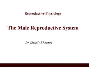 Reproductive Physiology The Male Reproductive System Dr Khalid