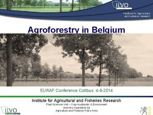 Agroforestry in Belgium EURAF Conference Cottbus 4 6