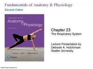 Fundamentals of Anatomy Physiology Eleventh Edition Chapter 23