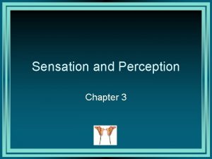 Sensation and Perception Chapter 3 Sensation Sensation the