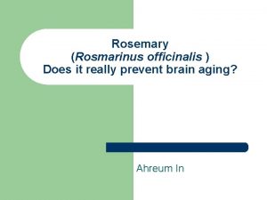 Rosemary Rosmarinus officinalis Does it really prevent brain