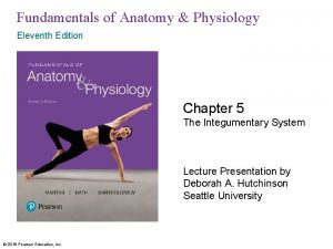 Fundamentals of Anatomy Physiology Eleventh Edition Chapter 5