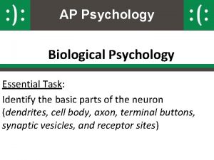 AP Psychology Biological Psychology Essential Task Identify the