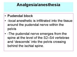Analgesiaanesthesia Pudendal block local anesthetic is inltrated into