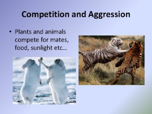 Competition and Aggression Plants and animals compete for