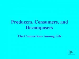 Producers Consumers and Decomposers The Connections Among Life