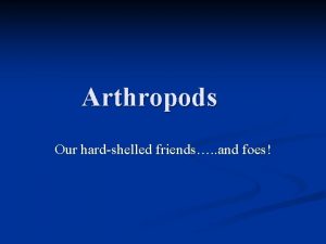 Arthropods Our hardshelled friends and foes Characteristics of