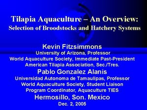 Tilapia Aquaculture An Overview Selection of Broodstocks and