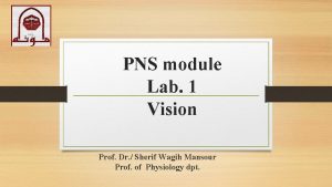 PNS module Lab 1 Vision Prof Dr Sherif