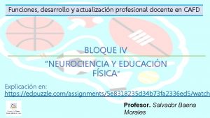 Funciones desarrollo y actualizacin profesional docente en CAFD