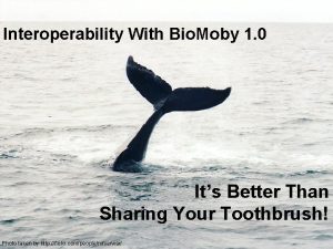 Interoperability With Bio Moby 1 0 Its Better