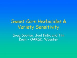 Sweet Corn Herbicides Variety Sensitivity Doug Doohan Joel