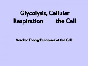 Glycolysis Cellular Respiration and the Cell Aerobic Energy