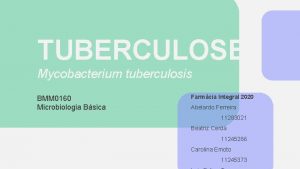 TUBERCULOSE Mycobacterium tuberculosis BMM 0160 Microbiologia Bsica Farmcia