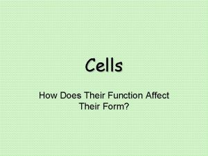 Cells How Does Their Function Affect Their Form