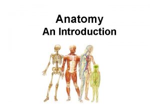 Anatomy An Introduction Structural Organization Chemical level atoms