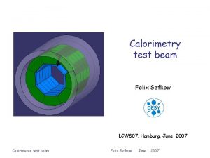 Calorimetry test beam Felix Sefkow LCWS 07 Hamburg