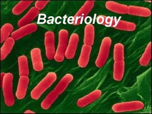 Bacteriology History of Microbiology n Robert Hooke 1660