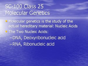 SC100 Class 25 Molecular Genetics Molecular genetics is