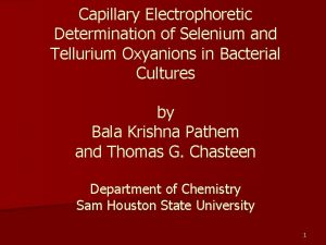 Capillary Electrophoretic Determination of Selenium and Tellurium Oxyanions