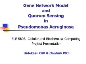 Gene Network Model and Quorum Sensing in Pseudomonas