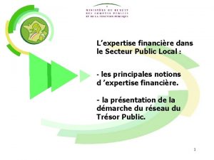 Lexpertise financire dans le Secteur Public Local les